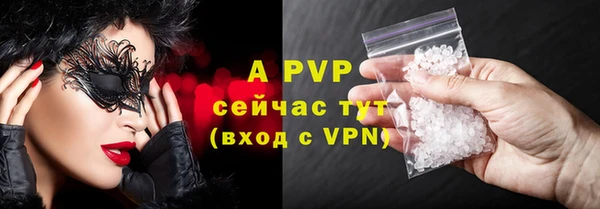 сатива Волоколамск