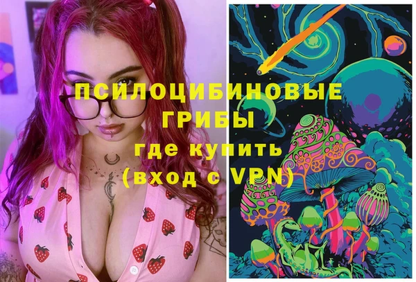 мдпв Волосово