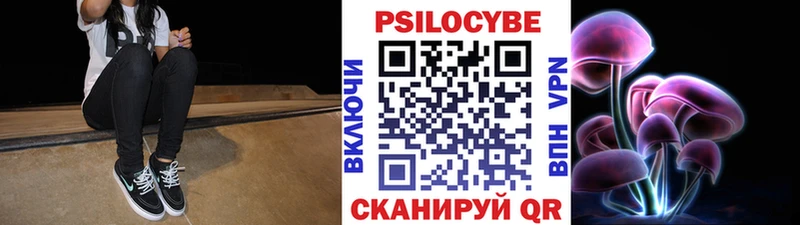 Галлюциногенные грибы Psilocybe  как найти закладки  Камень-на-Оби 